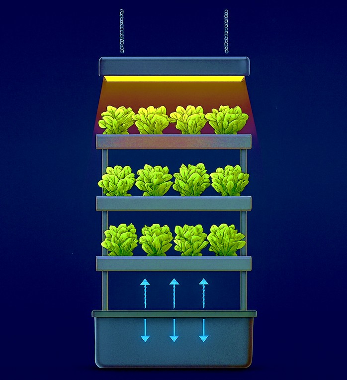 Hydroponics Workshop